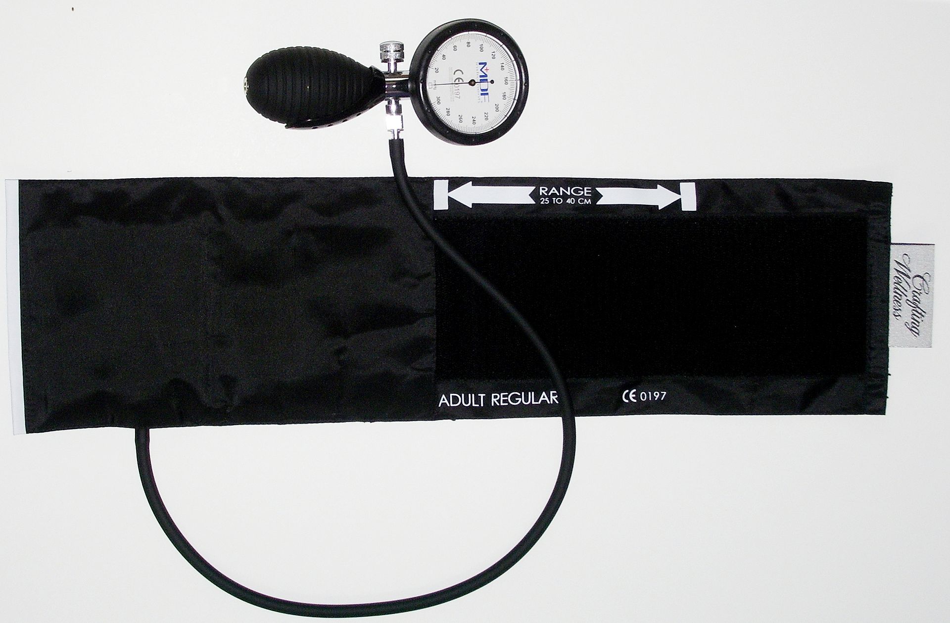 Apparatus for measuring and indicating blood pressure